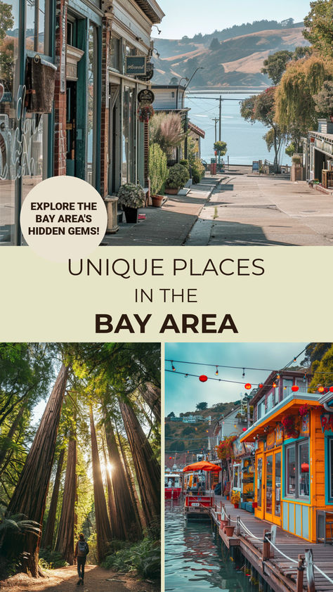 Collage of unique places in the Bay Area featuring a quaint street by the water, a person walking through towering redwoods, and colorful waterfront houses. Bay Area Restaurants, The Bay Area Aesthetic, Things To Do Bay Area, Bay Area Things To Do, Things To Do In The Bay Area, Bay Area Day Trips, Bay Area Aesthetic, Bay Area Travel, Unique Adventures