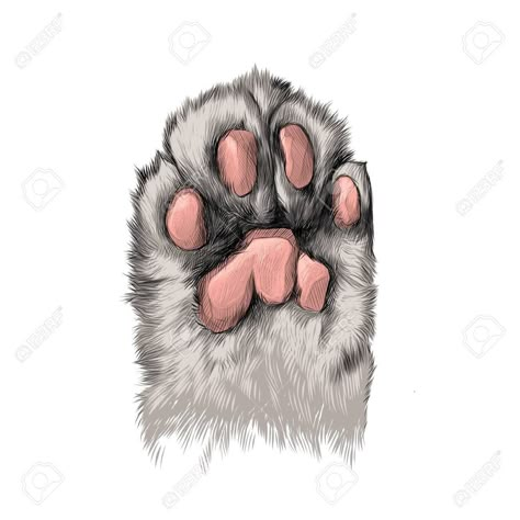 Cat Paw Sketch, Cat Paw Painting, Cat Paws Drawing, Paw Sketch, Paws Tattoo, Cat Paw Drawing, Cat Paw Tattoos, Tattoo Special, Cat And Dog Drawing