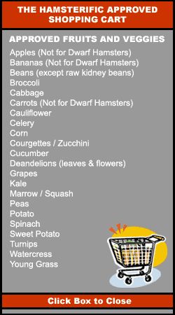 These are foods that hamsters can eat. Make sure not to overfeed though, it might be unhealty. What Hamsters Can Eat, Food Hamsters Can Eat, What Do Hamsters Eat, Hamster Food Recipes, Hamster Food Ideas, Hamster Care Tips, Diy Hamster Food, Hamster Facts, Diy Hamster Toys