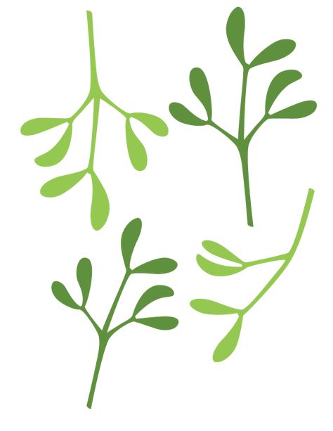 Paper Mistletoe, Mistletoe Drawing, Mistletoe Craft, Mistletoe Diy, Healing Logo, Leaf Template, Paper Leaves, Christmas Greenery, Christmas Post