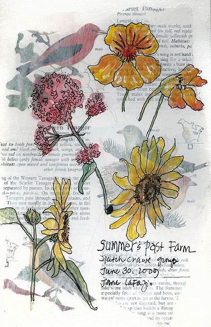 Garden journals .. YES. Discover the world of flowers a little more lovingly. Journal D'art, Gcse Art Sketchbook, Observational Drawing, Artist Journal, Garden Journal, Plant Drawing, Ink Drawings, Journal Page, Sketchbook Journaling