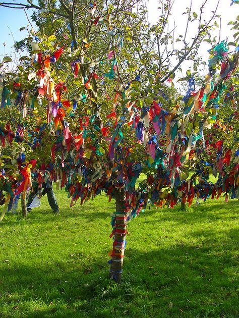 Wishing Tree at Nunnington Hall by nice icing, via Flickr Creative Easter Eggs, Houses Of The Holy, Wishing Tree, Sacred Tree, Memory Tree, The Easter Bunny, Garden Accents, Colorful Trees, Beltane