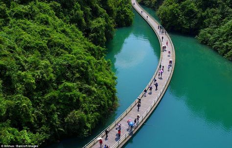 Floating on water: The floating walkway in central China allows visitors to see a part of a valley that's only accessible by rowing boat Floating Bridge, Wooden Walkways, Aerial Images, Aerial Photograph, Walk On Water, Over The River, Blue River, I Want To Travel, Floating In Water