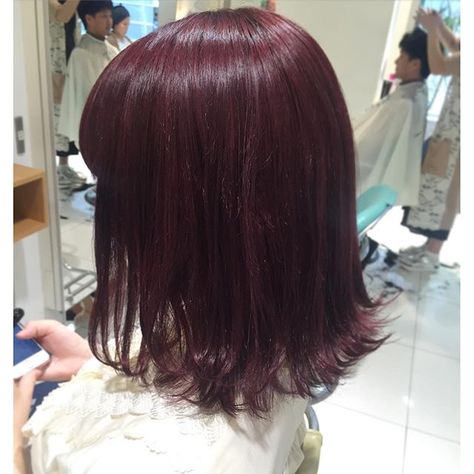 Short Burgundy Hair, Pelo Color Borgoña, Wine Hair Color, Cherry Red Hair, Wine Red Hair, Wine Hair, Red Hair Inspo, Cherry Hair, Dark Red Hair