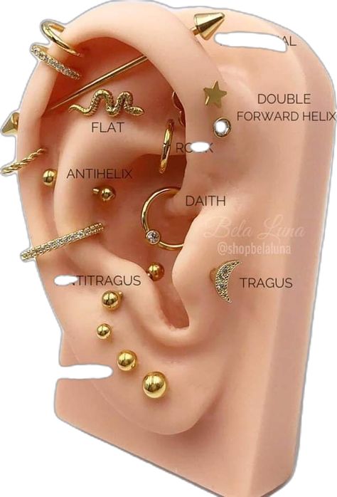 Earrings Placement Chart, Best Piercings To Get, Piercing Ideas Chart, Ear Pierce Chart, Ear Percinings Chart, Eat Piercings Chart Names, Earring Pearcing, Piercing Types Ear, Peircings Earring Names