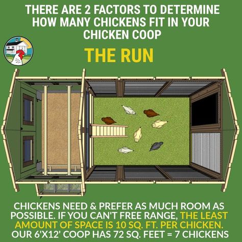 There are two crucial factors in determining how many chickens you can fit in your coop: The Henhouse and the Run. Chickens need and prefer as much room as possible. If you cannot free range your chickens outside the coop much or at all, the least amount of space is 10 sq. ft. per chicken. This shows 7 chickens in a 72 sq. ft. run. Where To Put Chicken Coop In Yard, Chicken Coop With Large Run, Chicken Coop With Run Around Garden, Lean To Chicken Coop With Run, Chicken Coop Expansion Ideas, Large Chicken Coop Ideas Diy Easy, Chicken Coop Size Requirements, Hidden Chicken Coop, Chicken Coop For 6 Hens