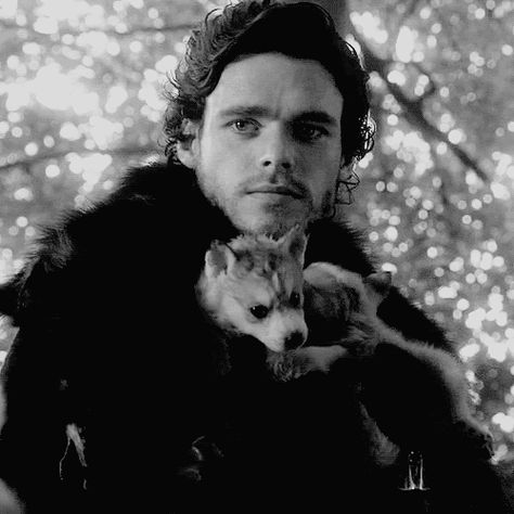 Game of Thrones - Robb Stark Rob Stark, Medici Masters Of Florence, Valar Dohaeris, Robb Stark, Got Game Of Thrones, The North Remembers, Fire And Blood, King In The North, Dire Wolf