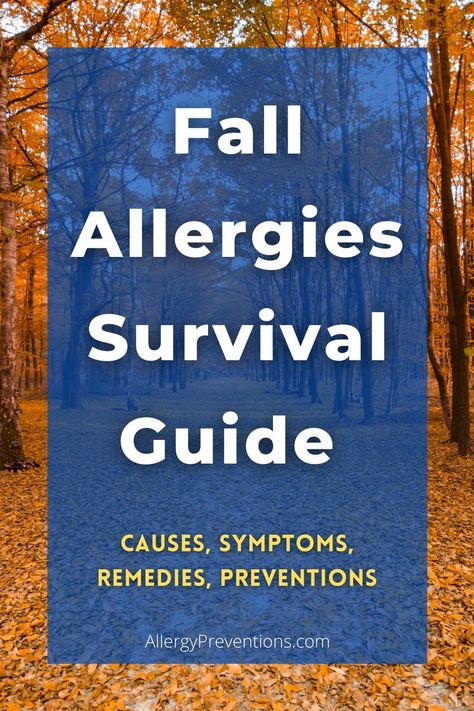 This fall allergy guide will help you avoid autumn allergies all season. Packed with tips, natural remedies, and recommendations to enjoy this time of year. #Autumn #allergypreventions #fallallergies #allergiessuck Fall Allergy Relief, Seasonal Allergy Remedies, Seasonal Allergy Relief, Fall Allergies, Natural Allergy Relief, Seasonal Allergy Symptoms, Home Remedies For Allergies, Natural Remedies For Allergies, Allergy Remedies