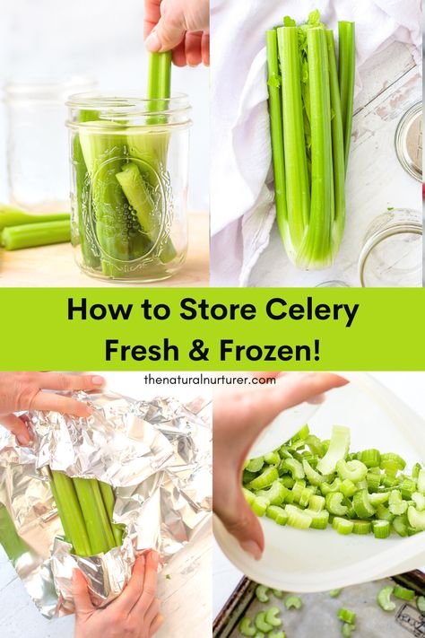 How To Freeze Celery Stalks, Keeping Celery Fresh In Fridge, Celery Preservation, Can Celery Be Frozen, How To Make Celery Last Longer, How To Keep Food Fresh Longer, How To Keep Celery Crisp, Freezing Fresh Leeks, Keep Celery Fresh Longer