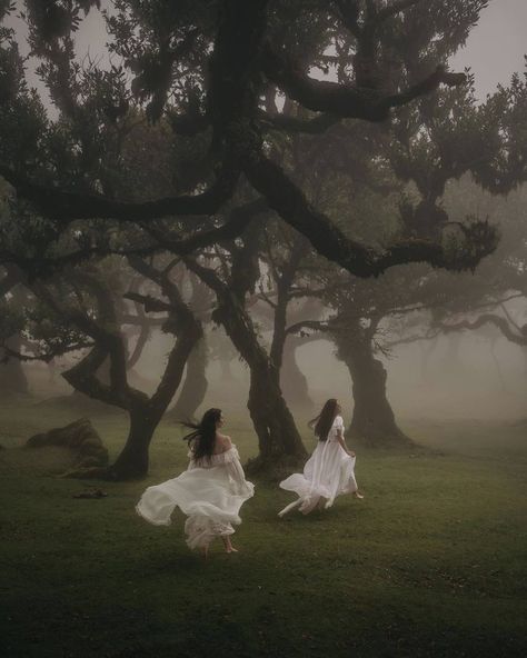 숲 사진, Ethereal Aesthetic, Fotografi Vintage, Dreamy Photography, Foggy Forest, Foto Poses, Witch Aesthetic, Photos Hd, Fantasy Aesthetic