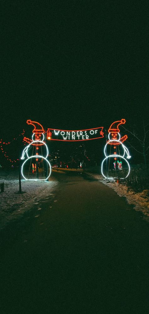 Christmas Lights Drive Through, Christmas Light Drive Thru, December Mood, Lights Outside, Christmas Lights Outside, Christmas Light Show, Christmas Light Displays, Drive Through, Christmas Display