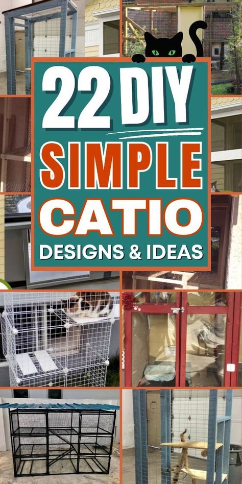 Transform your backyard into a cat paradise with these fun DIY catios. How To Build A Catio For Cats, Diy Catios For Cats Outside Easy, Diy Cat Patio, Catio Ideas Cat Diy, Diy Catio Plans Free, Cat Patio Diy, Catio Plans Diy, Diy Catios For Cats Outside, Diy Catios For Cats