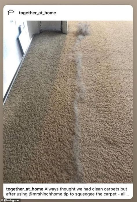 Carpet Diy, Deep Cleaning Hacks, Cleaning Painted Walls, Deep Cleaning Tips, Ideas Hogar, Household Cleaning Tips, Makeup Tricks, Clean Dishwasher, Simple Life Hacks