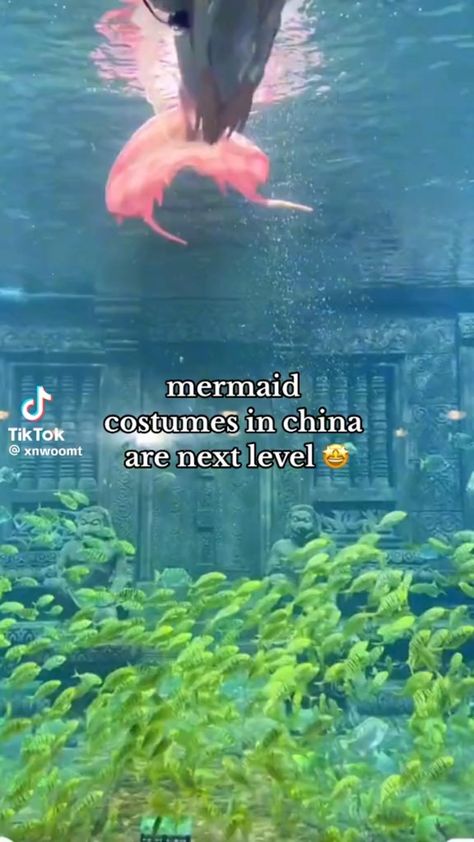 #mermaid Real Mermaid Videos, Mermaid Gifs, Trio Costumes, Mermaid Cosplay, Real Mermaids, Mermaid Aesthetic, Cool Tech Gadgets, Mermaid Costume, Marine Biology