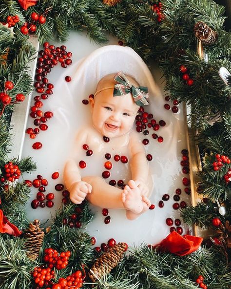 Christmas Decorations With Kids, Christmas Baby Photoshoot, Holiday Baby Pictures, Colorado Family Photos, Making Christmas Decorations, Baby Holiday Photos, Baby Milk Bath, Baby Christmas Photography, Newborn Christmas Photos