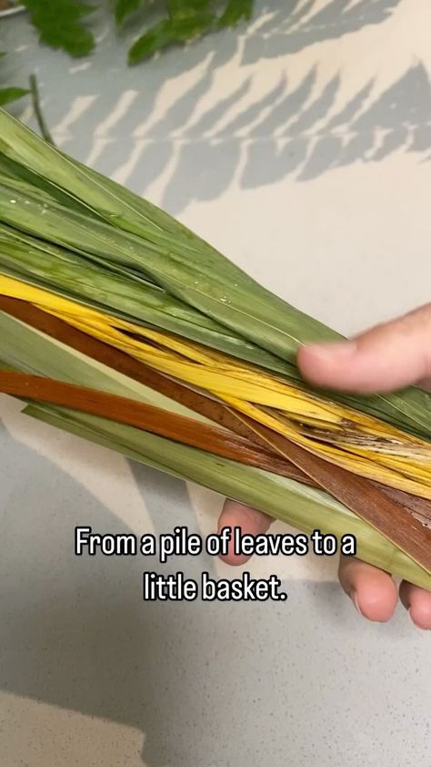 Forage_from_nature | Making cordage from iris leaves. My poor garden has been very neglected this dry, hot summer. A positive is that I’ve many dried iris… | Instagram Weaving With Iris Leaves, Iris Leaf Weaving, Natural Cordage, Beach School, March 7, Nature Crafts, Natural Fibers, Hot Summer, Baskets