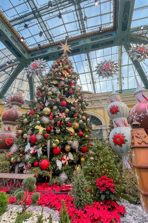 Christmas at the Bellagio Botanical Gardens 2022-2023 » Local Adventurer Bellagio Botanical Gardens, Christmas In Vegas, Longwood Gardens Christmas, December Moodboard, Buchart Gardens, Callaway Gardens, Christmas Destinations, Longwood Gardens, Garden Christmas