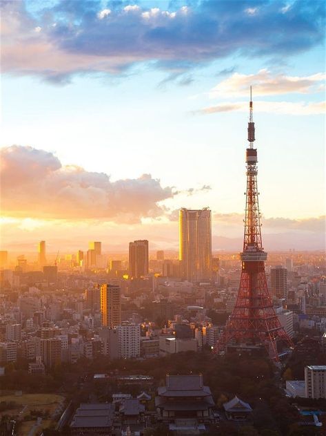 Tokyo Fall Aesthetic, Sunset In Tokyo, Tokyo In Autumn, Tokyo Autumn, Clash Royale Wallpaper, Japanese Gate, Visit Tokyo, Mont Fuji, Fall Months