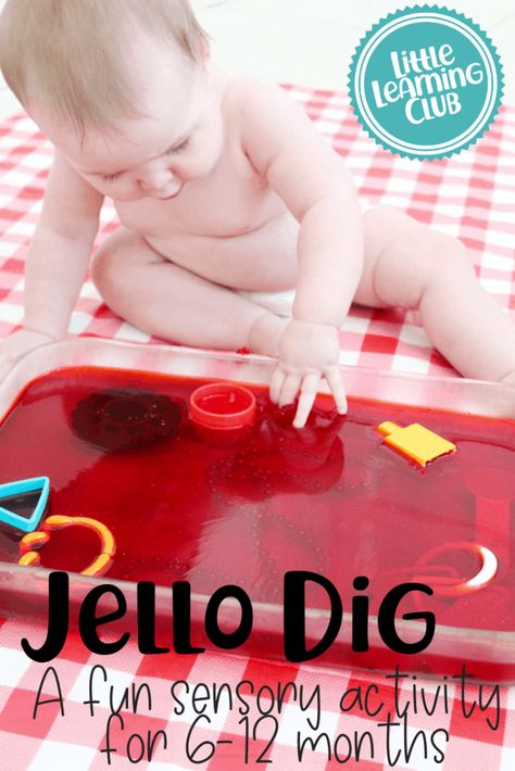 Sensory Activities 6-12 Months Jello Dig, Infant Sensory Activities, Infant Room, Infant Classroom, Baby Sensory Play, Elderly Activities, Baby Sitting, Baby Play Activities, Sensory Activities Toddlers