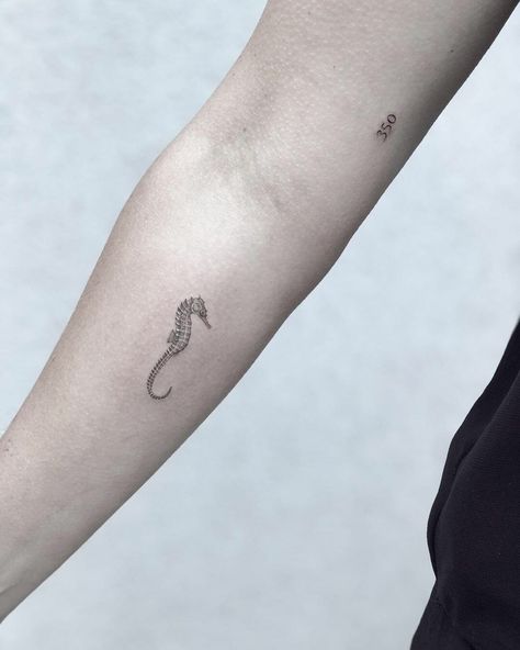 Small Animal Tattoo Ideas, Seahorse Tattoo Ideas, Small Animal Tattoo, Zee Tattoo, Ocean Life Tattoos, Beachy Tattoos, Starfish Tattoo, Cute Animal Tattoos, See Tattoo