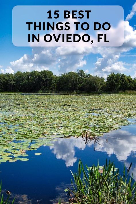 Discover the 15 best things to do in Oviedo, FL. Including Little Big Econ State Forest, Lukas Nursery & Butterfly Encounter, Lawton House and more. Nursery Butterfly, Round Lake, University Of Central Florida, Riverside Park, Lake Park, Recreational Activities, Pier Fishing, Central Florida, Historical Society