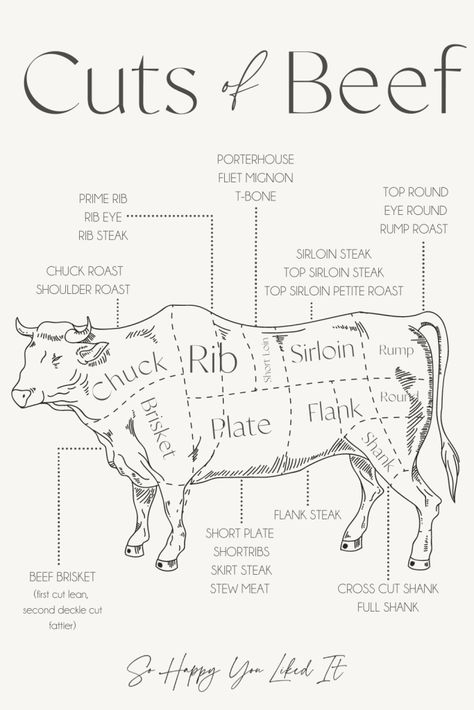 A diagram of cow segmented to show where the different cuts of beef are Beef Parts Chart, Butcher Cow Diagram, Meat Cow Breeds, Meat Cuts Poster, Beef Cuts Diagram, Beef Cuts Chart, Cow Pics, Meat Curing, Different Cuts Of Beef