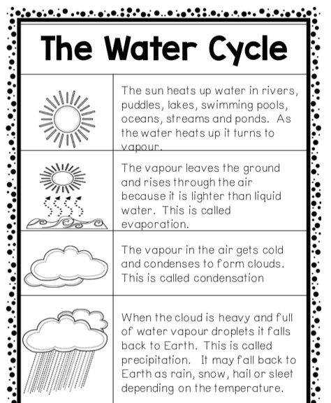 Kindergarten Science Topics, Environmental Science Lesson Plans, 1st Grade Worksheets Science, Water Cycle Explanation, Water Cycle Preschool, Science 3rd Grade, Earth Science Worksheets, Third Grade Science Worksheets, Homeschool Science Lessons