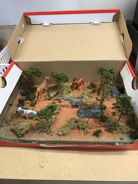 Savannah Biome Project, Grassland Biome Project, Desert Biome Project Ideas, Cheetah Diorama, Lion Diorama, Biome Project Ideas, Shoebox Habitat, Animal Habitat Project, Savanna Diorama