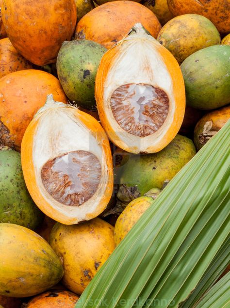 "Betel nut put on the ground for drying. (Areca catechu)" by Seksak Kerdkanno - $15.65 Areca Catechu, Areca Nut, Spices Photography, Planting Fruit Trees, Betel Nut, Unique Vegetables, Tropical Climate, Cute Fruit, Fruit Plants