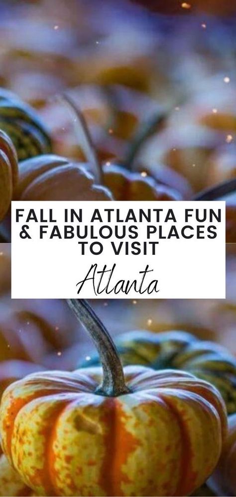 Top 6 Weekend Getaways from Atlanta | Road Trip Ideas White Party Theme, Dubai Travel Guide, Visit Atlanta, Rosé Wine, Fall Festivals, Boston Things To Do, Fall Events, Fall Activities, Dubai Travel