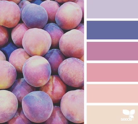 fresh hues | design seeds | Bloglovin’ Seeds Color, Colour Pallets, Color Schemes Colour Palettes, Interior Painting, Design Seeds, Interior Paint Colors, Color Palette Design, Color Balance, Color Inspo