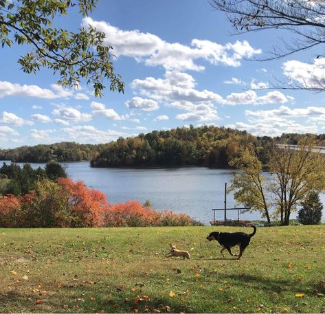 Lake House In The Mountains, House By The Lake Aesthetic, Mountain Lake Cabin, North Carolina Lake House, House On Land Country, Farm Lake House, House On Land, Kentucky Aesthetic, House By A Lake