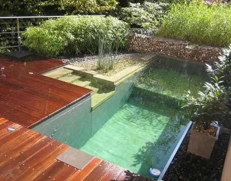 17 Natural Swimming Pools You Wish Were In Your Backyard Outdoor Wood Decking, Atelier Decor, Swimming Ponds, Natural Swimming Ponds, Green Pool, Wooden Deck, Swimming Pond, Natural Swimming Pools, Natural Swimming Pool