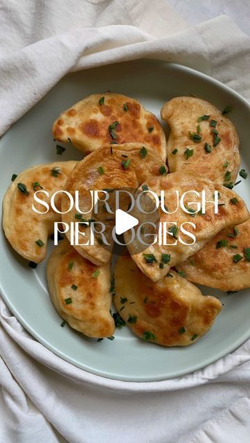 Sourdough Dumplings Recipe, Sourdough Pierogi, Sourdough Perogies, Sourdough Dumplings, Perogies Recipe, Pan Fried Dumplings, Dumpling Filling, Starter Recipe, Discard Recipes