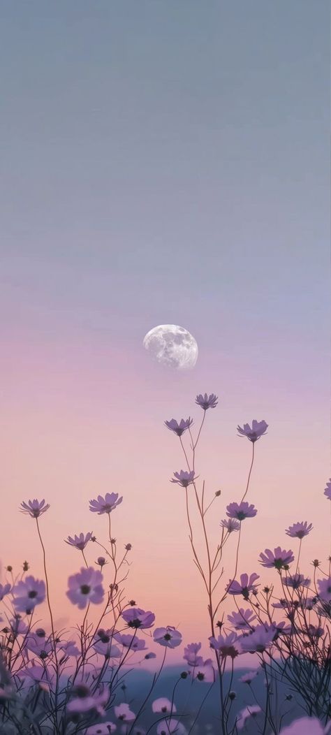 Profile Picture Aesthetic Flower, Purple Aesthetic Flowers Wallpaper, Lockscreen And Homescreen Wallpaper Set, Simple Floral Wallpaper Iphone, Iphone Lockscreen Widget Ideas, Iphone 15 Plus Wallpaper Aesthetic, Violet Sky Aesthetic, Girly Spring Wallpaper Iphone, Lilac Aesthetic Wallpaper Iphone