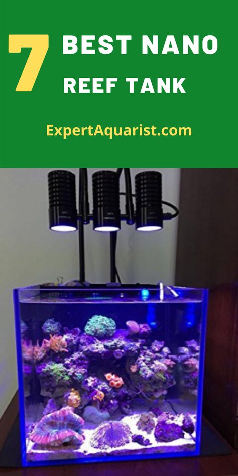 Small Salt Water Aquarium, Small Saltwater Aquarium, Nano Reef Tank Aquascaping, Salt Water Fish Tank Ideas, Small Saltwater Tank, Saltwater Tank Setup, Reef Tank Aquascaping, Saltwater Aquarium Setup, Nano Reef Tank