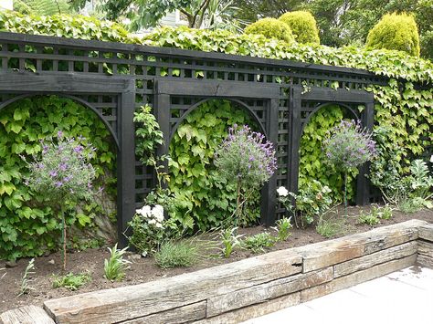 Wood trellis / timber sleepers Hedge Garden Design, Black Trellis, Hedge Garden, Beautiful Gardens Landscape, Boston Ivy, Small City Garden, Privacy Plants, Topiary Plants, Courtyard Design