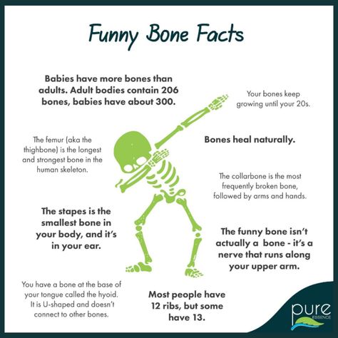 Learn Bones Human Skeleton, Bones Anatomy Learning, Did You Know Muscle Facts, Human Body Facts Science, Chiropractic Fun Facts, Skeleton System Project, Skeleton System Anatomy, Skeletal System Project, Skeletal System Activities