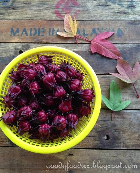 GoodyFoodies: Recipe: Homemade Roselle Jam Roselle Recipes, Hibiscus Roselle, Hibiscus Jam, Roselle Jam, Hibiscus Recipes, Roselle Plant, Hibiscus Recipe, Roselle Hibiscus, Cut Recipe