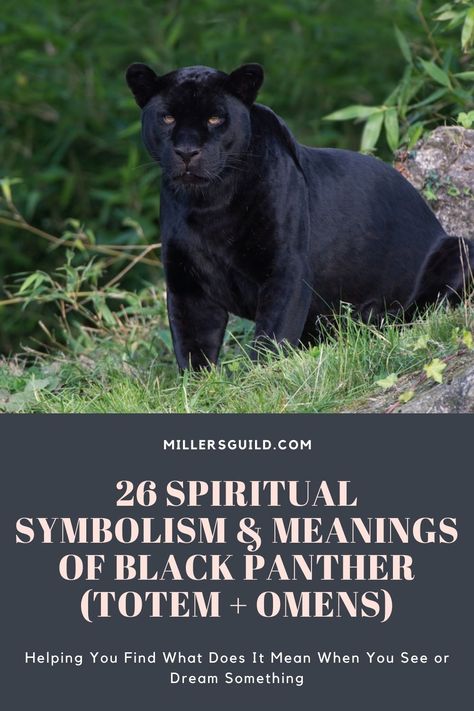 Black Panther Symbolism, Black Panther Totem, Black Panther Spiritual Meaning, Black Panther Spirit Animal, Panther Symbolism, Panther Meaning, Panther Spirit Animal, Black Panther Quotes, Black Panther Symbol