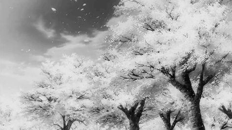 Black And White Gif, Welcome Gif, Anime Flower, Gif Background, Japanese Shrine, Picture Banner, Black Banner, Pixel Animation, Animated Banners