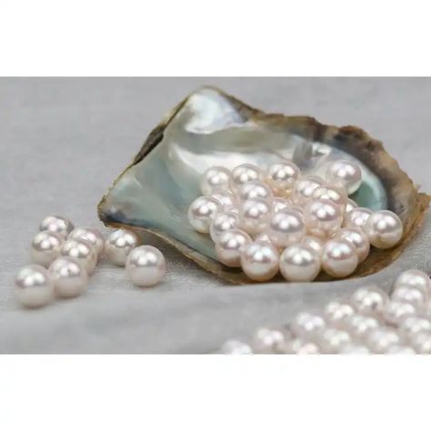 Natural High Quality Japanese Akoya Pearl For Bead Wholesale - Buy Pearl For Bead,Akoya Pearl Bead,Japanese Akoya Product on Alibaba.com Buy Pearls, Natural High, Akoya Pearls, Wholesale Beads, Stone Cuts, Pearl Beads, Precious Metals, Semiprecious Stones, Gems