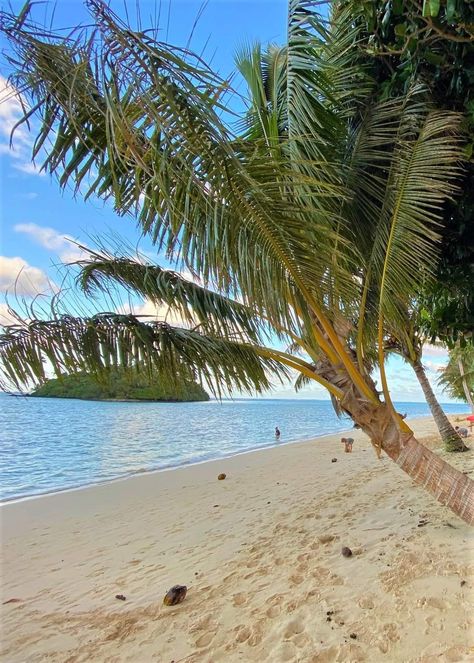 Rarotonga, Cook Islands Cook Islands Aesthetic, Rarotonga Aesthetic, Rarotonga Cook Islands, 2025 Vision, Summer Bucket Lists, Summer Bucket, Cook Islands, Places Around The World, Summer Aesthetic