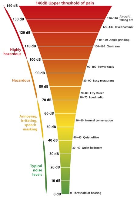 Noise Level Chart: Decibel Levels of Common Sounds With Examples Noise Level Chart, Dividing Fractions Worksheets, Planet Coloring Pages, Yearbook Template, Sound Science, Sight Word Worksheets, Fractions Worksheets, Data Analyst, Background Noise