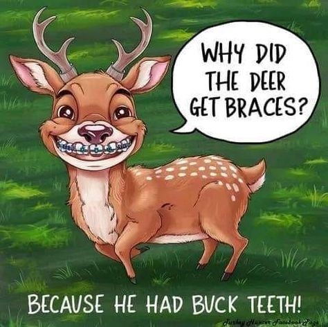 Buck Teeth, Puns, Deer, Funny Quotes, Funny, Quotes, Humour