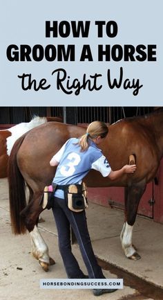 How To Groom A Horse, Horse Bonding, Equestrian Training, Horse Conformation, Horse Grooming Kit, Dressage Tests, Horse Farm Ideas, Horseback Riding Tips, Horse Reining