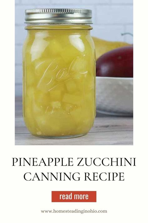 Zucchini Canning Recipes, Mock Pineapple, Canning Yellow Squash, Can Zucchini, Canning Squash, Canning Pineapple, Canning Zucchini, Zucchini Pineapple, Canned Zucchini