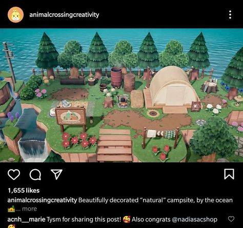 Gyroid Acnh Ideas, Acnh Neighborhoods Ideas Natural, Animal Crossing Beginner Island, Acnh Campsite Inspiration, Acnh Gyroid Ideas, Acnh Campsite Ideas, Acnh Camping Site, Animal Crossing Campsite Ideas, Acnh Campsite Designs