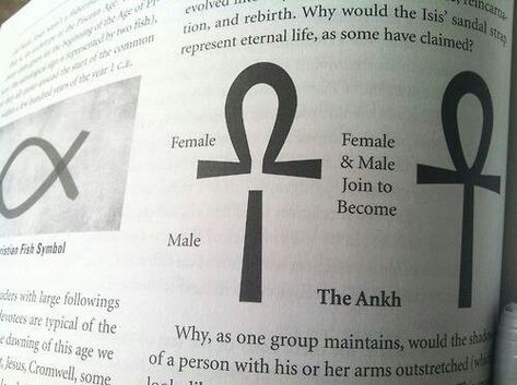 Ankh Meaning, Ankh Tattoo, Kemetic Spirituality, Ancient Egyptian Hieroglyphics, The Ankh, Ankh Symbol, Ancient Egyptian Symbols, Fish Symbol, Symbols And Meanings