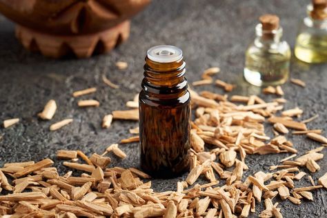 Unlocking the Secrets of Cedarwood Essential Oil: Nature's Gift to Wel | Air Oasis Massage Candles, Tick Repellent, Cedar Oil, Cedar Tree, Diy Essentials, Massage Candle, Cedarwood Oil, Cedarwood Essential Oil, Essential Oils For Hair